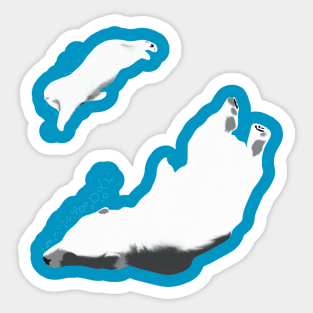 Polar bears swimming Sticker